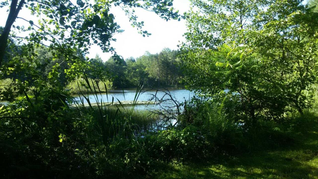 Gite Des Prary Des Mille Etangs Ternuay-Melay-et-Saint-Hilaire Экстерьер фото